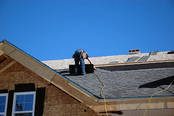 Best Emergency Roof Repair  in Blennerhassett, WV