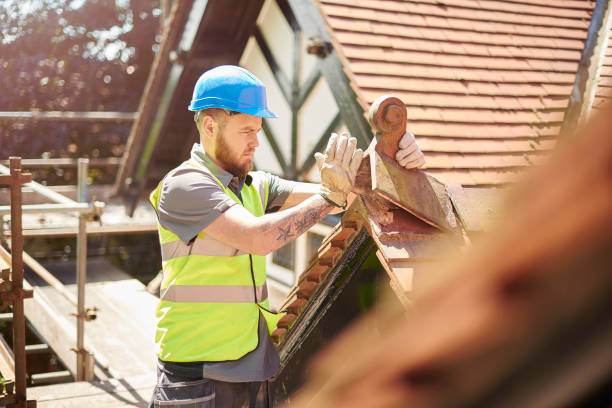 Best New Roof Installation  in Blennerhassett, WV