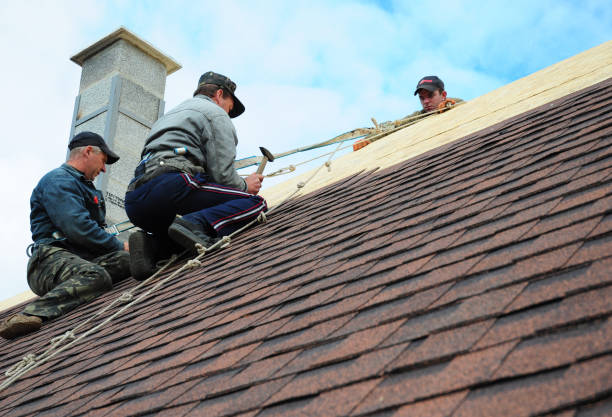 Best Shingle Roofing Installation  in Blennerhassett, WV